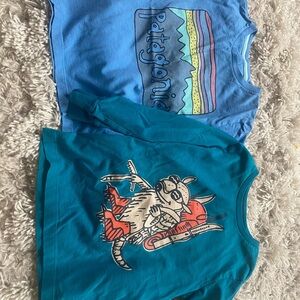 Patagonia Kids Blue Graphic Long Sleeve Shirt